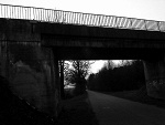 Fotoblog kwiateczek015