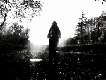 Fotoblog kikxa