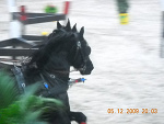 Fotoblog monek11a