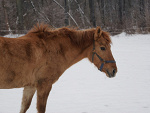 Fotoblog plussk