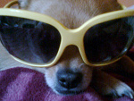Fotoblog miluuchxd