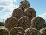 Fotoblog kondziio