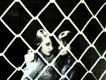 Fotoblog ptysiuu212