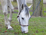 Fotoblog laleczkax