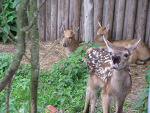 Fotoblog lghphehe