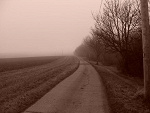 Fotoblog nosferatukh