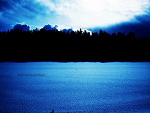 Fotoblog trustmechoney