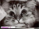 Fotoblog malutki094
