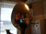 Fotoblog fabulously