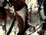 Fotoblog whatabout