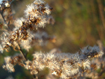 Fotoblog tourisme