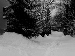 Fotoblog mondlicht