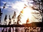 Fotoblog wciaztaksamo