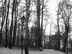 Fotoblog ladyspring