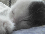 Fotoblog madziaaa94sdz