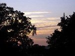 Fotoblog tiruriruboom