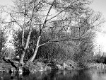 Fotoblog fermina52