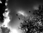 Fotoblog er1n
