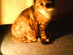 Fotoblog agatka32