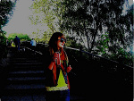 Fotoblog peasorel