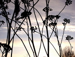 Fotoblog karolciacichutka