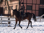 Fotoblog insert03