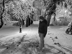 Fotoblog doncius