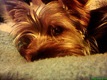 Fotoblog karolina783234812