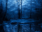 Fotoblog highborn