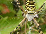 Fotoblog kokoslife