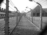 Fotoblog kuba1153