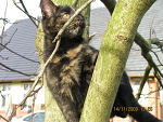 Fotoblog ladiesfateex33