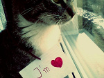 Fotoblog kredowowbiala