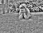 Fotoblog cysiataszalonaxd