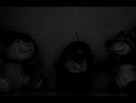 Fotoblog rasty