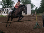 Fotoblog horselove123