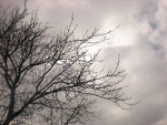 Fotoblog daily