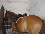 Fotoblog stajniawwiecanowie