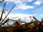 Fotoblog nationalphotographic