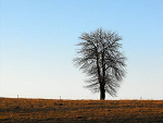 Fotoblog wkrainiemarzen18