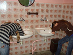 Fotoblog oryginals