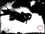 Fotoblog anetussia14