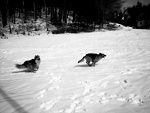 Fotoblog nemei