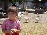 Fotoblog ewaaa9212