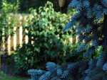 Fotoblog agnette93
