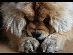 Fotoblog bleeuble