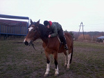 Fotoblog rambusiowa