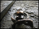 Fotoblog goya7