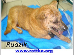 Fotoblog szafa1