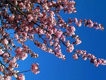 Fotoblog uszatek